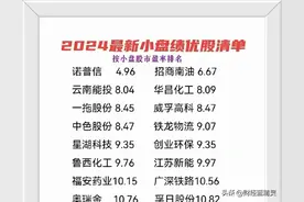 2024最新小盘股绩优股名单一览，很多还在低位，值得收藏图片