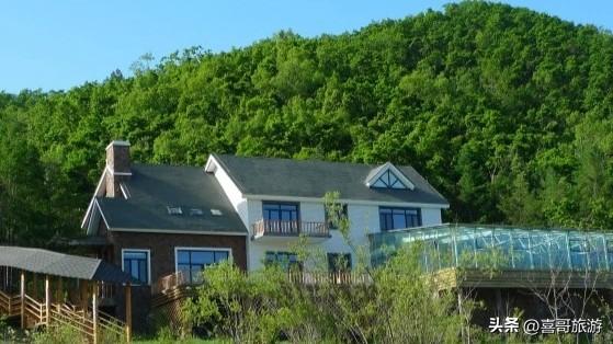 北国绿宝石：黑龙江大亮子河国家森林公园漫记