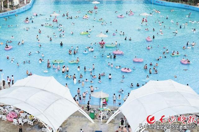 “大王”归来｜翻山阅岭——山水洲城·探山大型融媒体调查报告（六）
