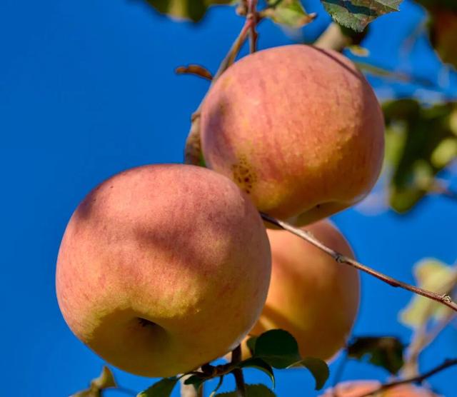 太全面了！8条游玩线路+京郊汤泉！带您玩转北京这里！（1）
