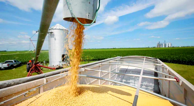 美豆堆到粮仓爆！巴西豆坐地起价？中国48小时签阿根廷 130 万单！