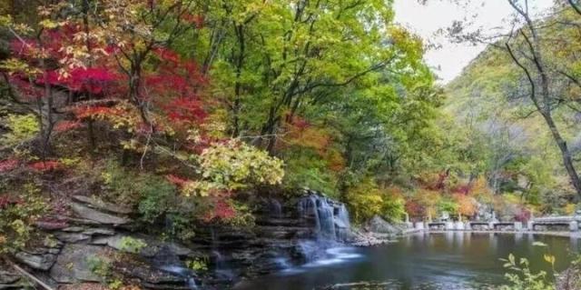 通玩八大景区景点！岫岩推出“文旅惠民”联票
