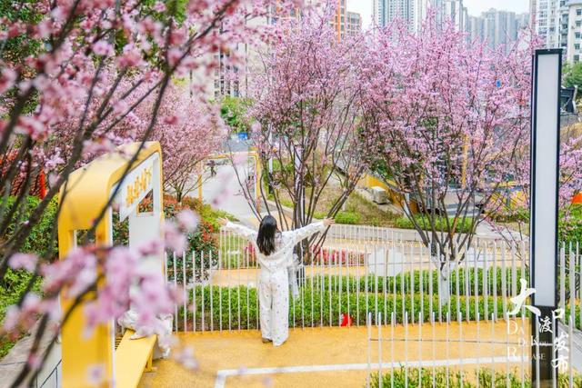 春天来了，你也该来一趟大渡口啦！