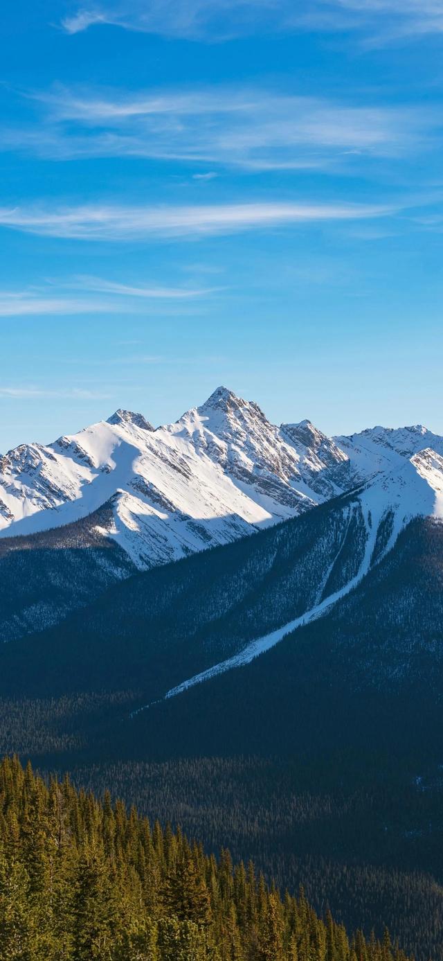 手机壁纸|冬日氛围感自然美景