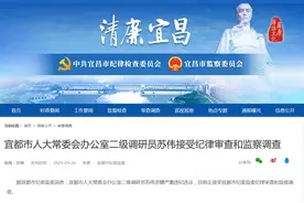 湖北多人被查图片