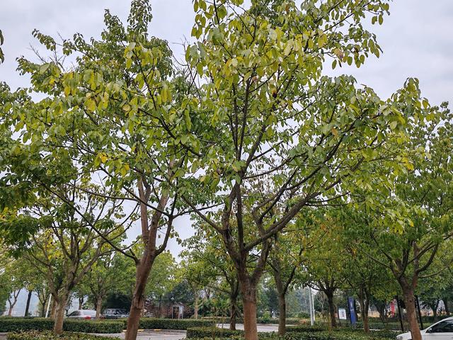 【井研行】天地画印研溪湿地