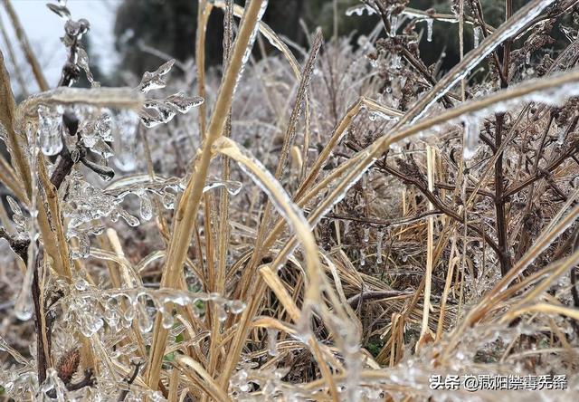 “最怕三九晴又暖	”，今年三九太反常，连续晴天	，有啥预兆？看农谚咋说