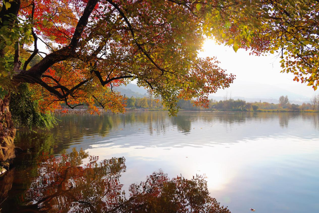 红了！越来越红了！