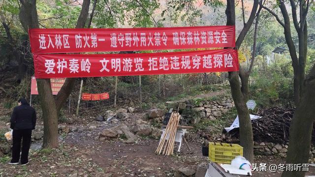 又见山山红叶飞