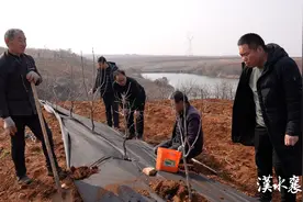 一块黑布就能除草？图片