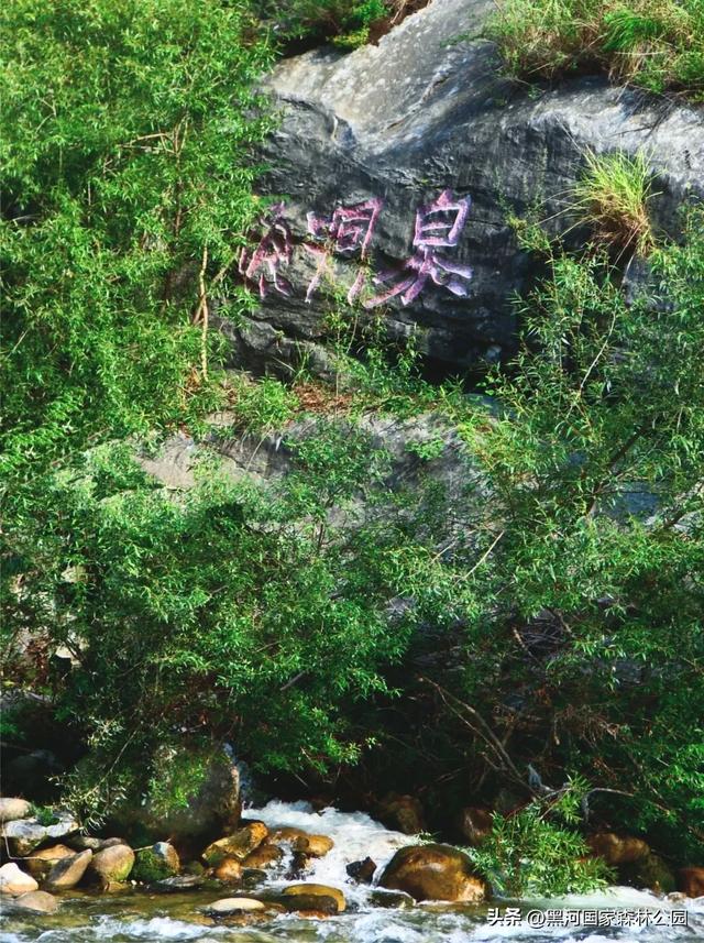 西安人的夏日消暑指南,黑河的清凉山水比空调更治愈→