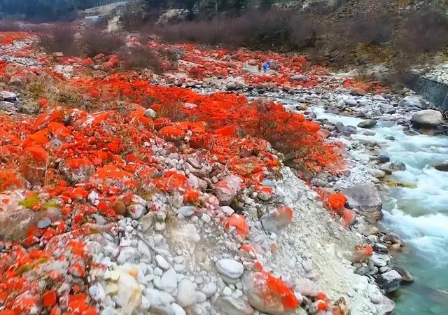 海螺沟旅游全攻略：门票预约、景点简介、自驾路线一次搞定
