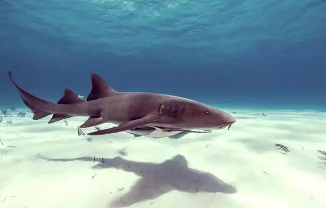 3次事故不说，平台推“极限挑战”，谁在逼我们“玩命打卡”？