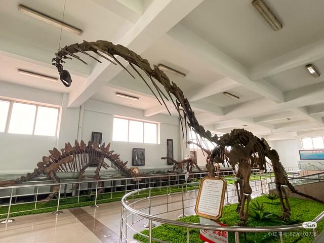 临沂冬日好去处！这8个室内宝地，颜值与温度并存！