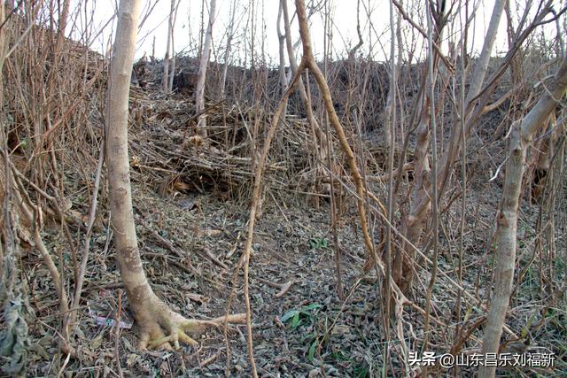 这一次外出闲游感慨颇多