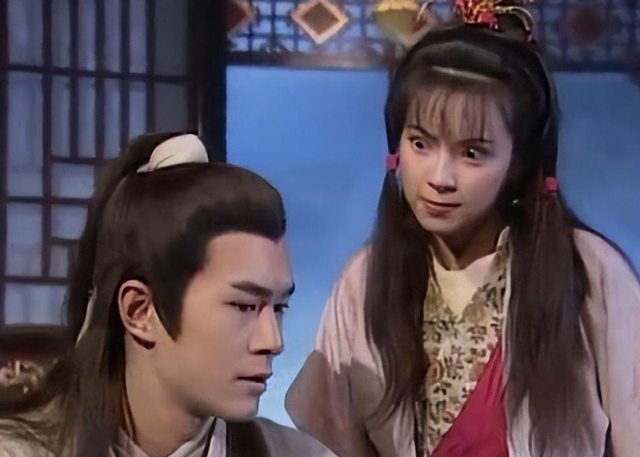 神雕后传：郭芙生下八个儿子，两个是百损道人的，六个是杨过亲生