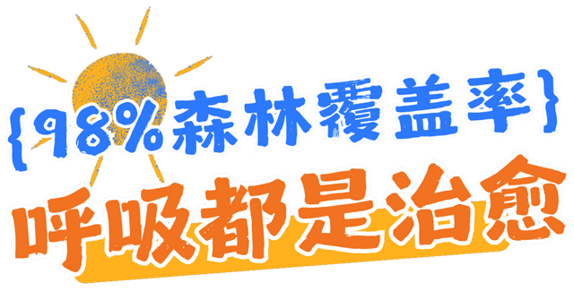 半价优惠！黎坪景区和留坝山水联动！为您打造“清凉续集”→
