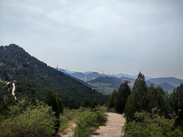 我的双城记 | 去爬山，听说山下有一棵前韩国总统栽下的树