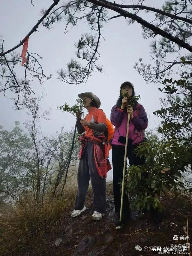 温州这条以峡谷景观和险峻山势为特色的徒步线路你可去过？