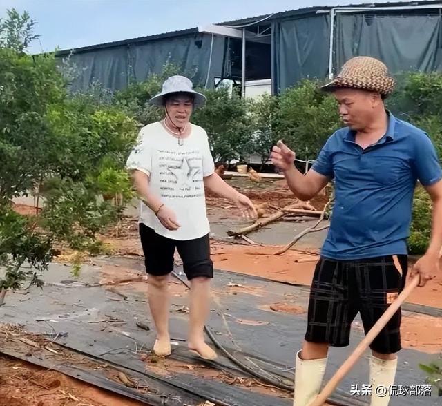 全红婵第二套房设计图曝光	，院子划开大伯家界限，内幕引人猜测