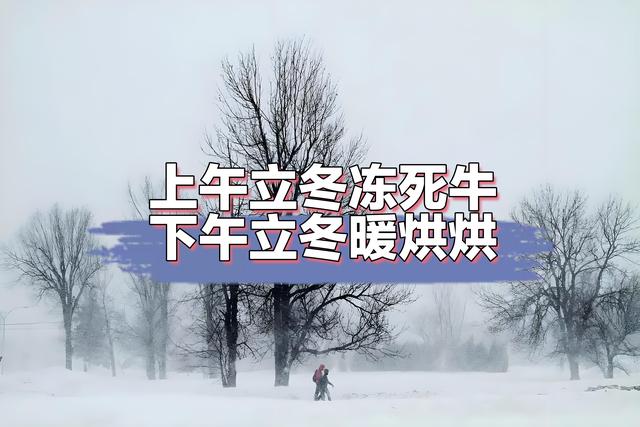 “上午立冬冻死牛，下午立冬暖烘烘”，今年立冬几点？有啥说法？