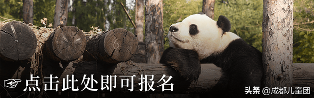 国庆去哪儿？草原金秋、潮汕舌尖味、熊猫守护……4条错峰优选线路，安排！