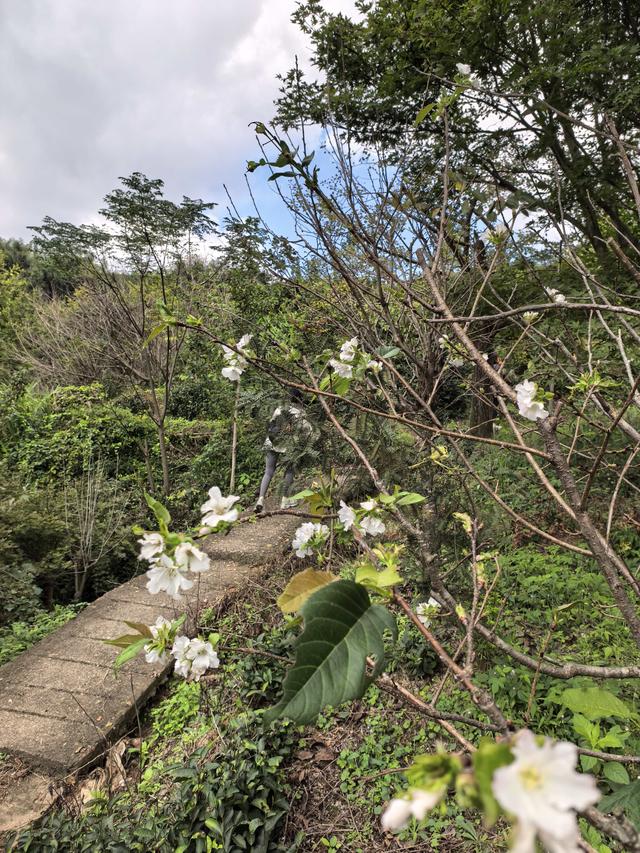 霜降时节，柿林村徒步