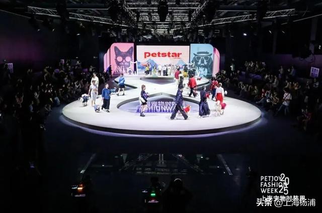 2025上海旅游节，杨浦这些好玩的别错过