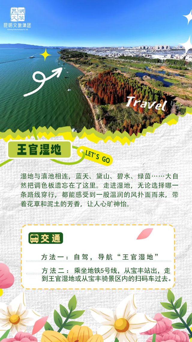 “人在画中游”！昆明这个湿地公园成“全民健身”热门打卡地
