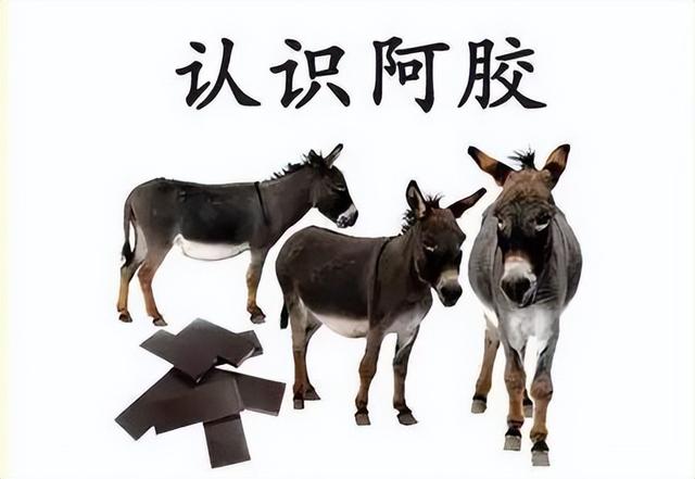 东阿到底在哪里？阿城，东阿镇，东阿县？