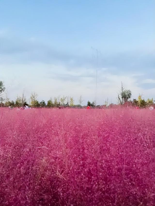 珠海在哪里可以寻找到秋天甚至赏秋？