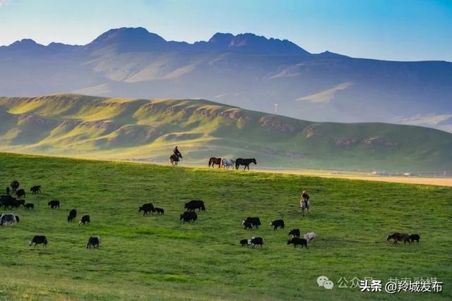 让心灵在圣境中深度旅行——甘南文旅融合发展综述