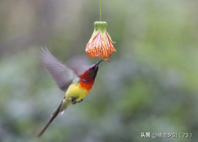 两性关系，惊人发现，60岁与异性靠近，根本不是桃花运，而是这