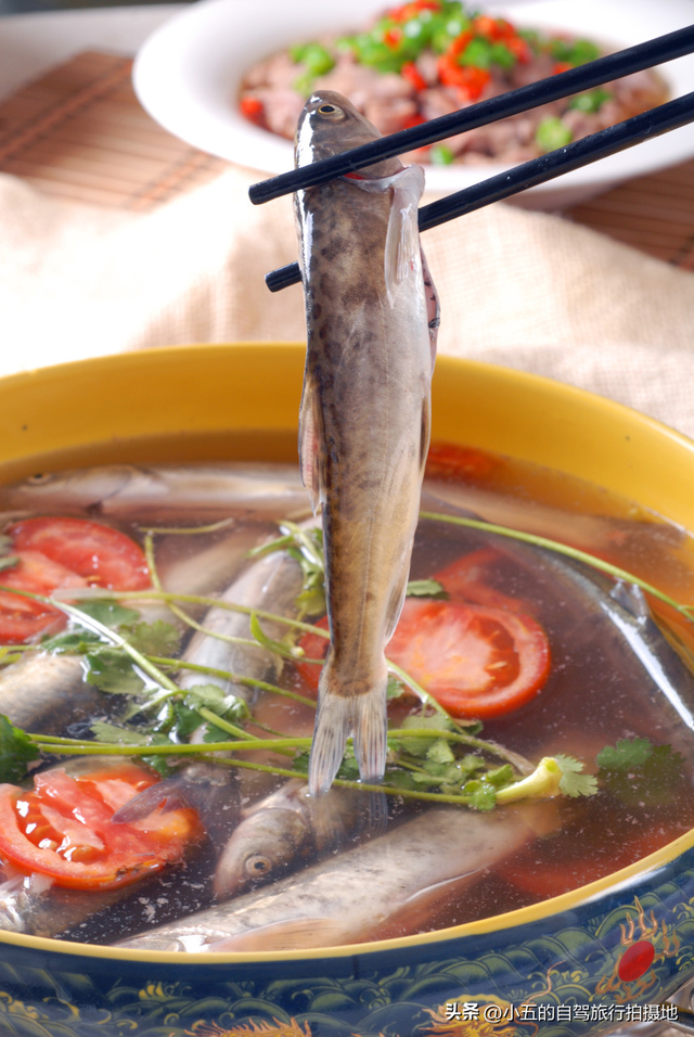 🔥喀纳斯秋疯了！人均800攻略，错过等一年的神仙颜值+避坑指南