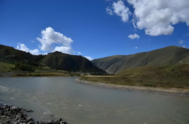既像马又像鹿，上世纪90年代被宣布绝种，近日在四川色达发现一群