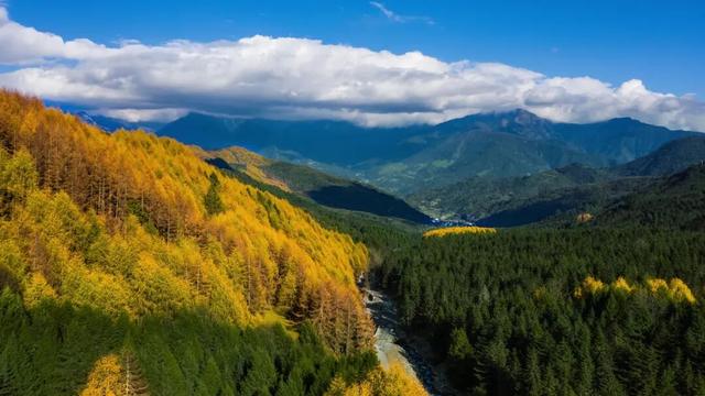 秋假福利持续至本周末！免票游雅安的快乐要一接再接！