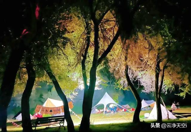 【老公的诗赏析之二百五十一】