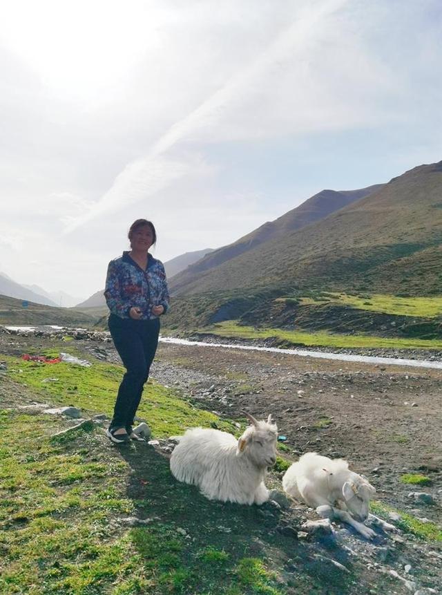 新疆独库公路之旅