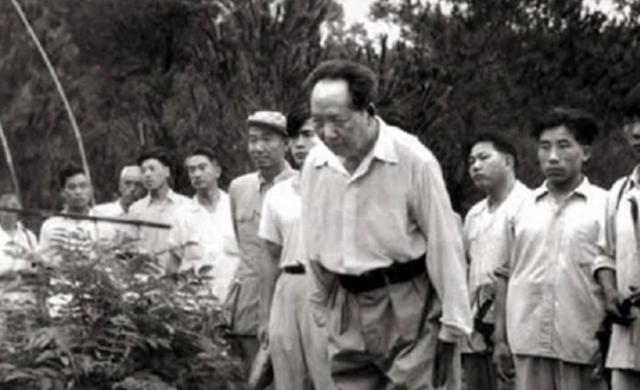 1950年，毛主席得知外甥女嫁给国民党高官，命令：不要上北京