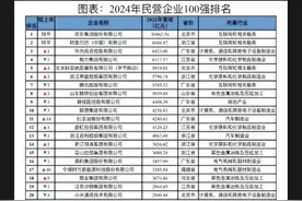 2024民企100强，浙粤夺冠亚，京沪差距大，还有哪些省市惊艳？图片