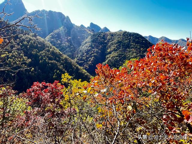 长城徒步之94：密云烧香峪、五虎门、黑谷关长城秋色