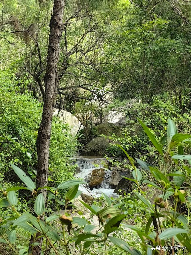 揭西猴面石徒步登山
