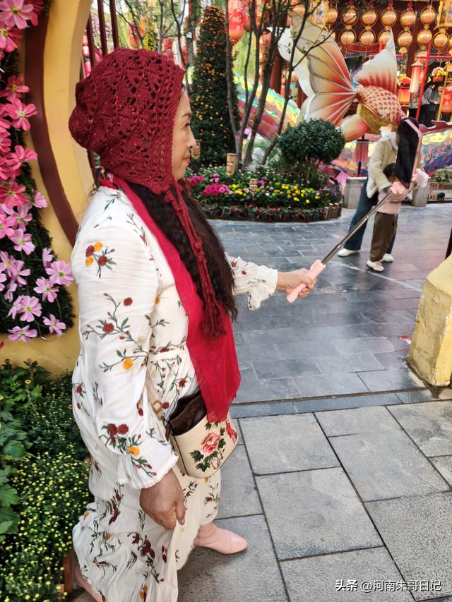 讲述我的写作故事43，《2025年开封赏菊记》。