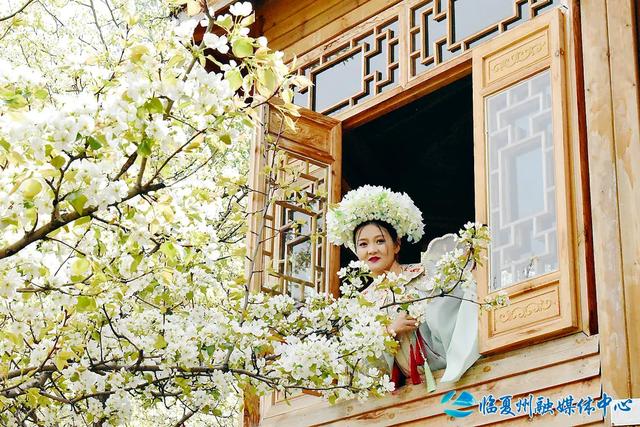 解锁远古生命密码 开启文旅融合新篇章——和政县文旅产业融合发展综述