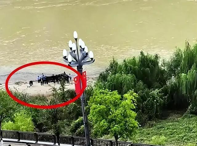 跳河新郎母亲发声！舆论大反转，不止是钱这么简单，更多隐情曝光
