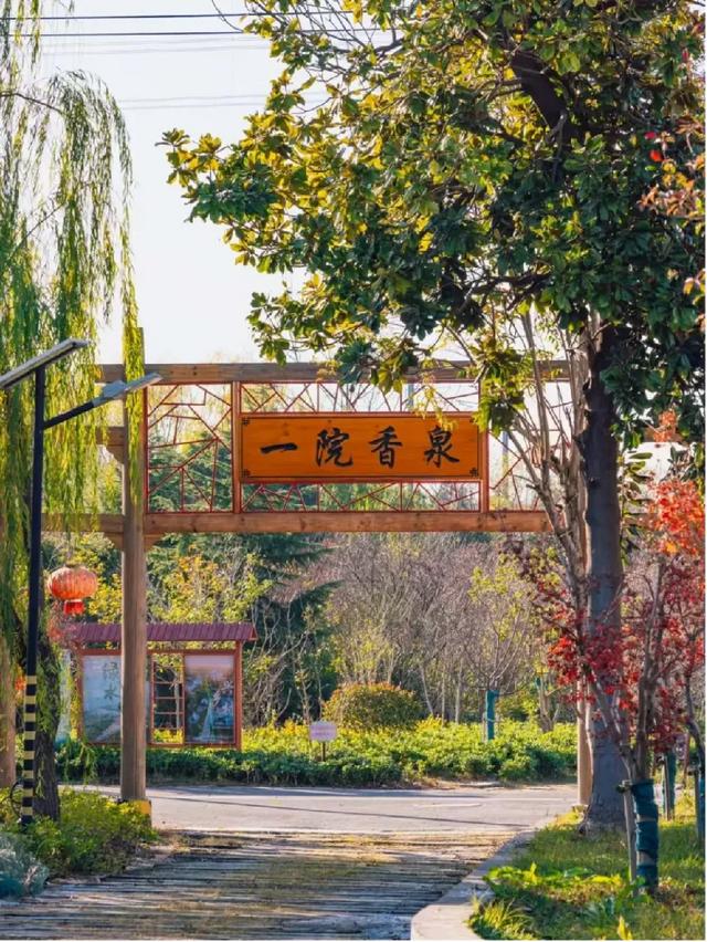 江北泡汤哪家强？