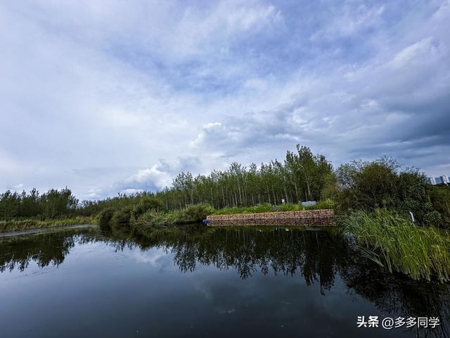 谁说非盛花期不好看？傍晚去滇池绿道上的薰衣草庄园，格外惊喜