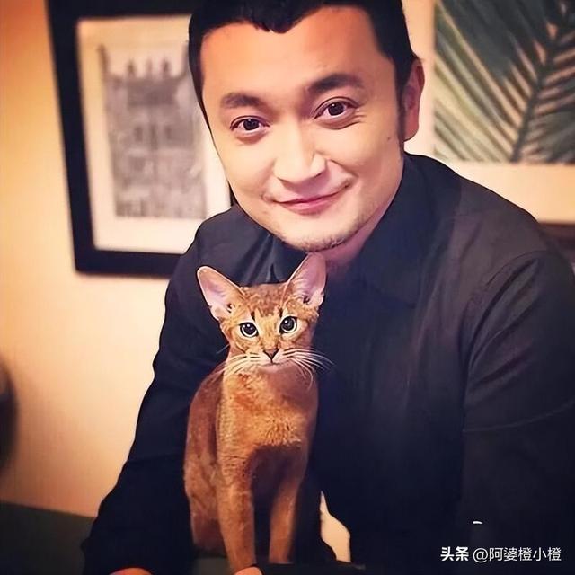 讨好大佬，陪睡上位	，遭央视“开除”，她身上的标签哪个才是真的