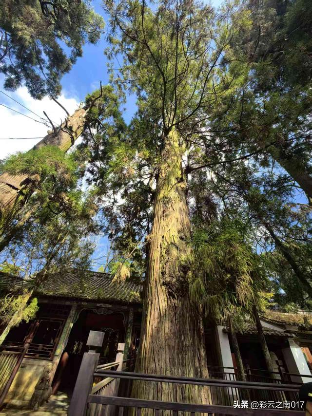 通海秀山：一座“无柱不联”的文化名山