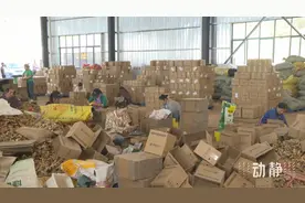 贵州镇宁小黄姜“乘云”出圈，电商平台年售3000万图片